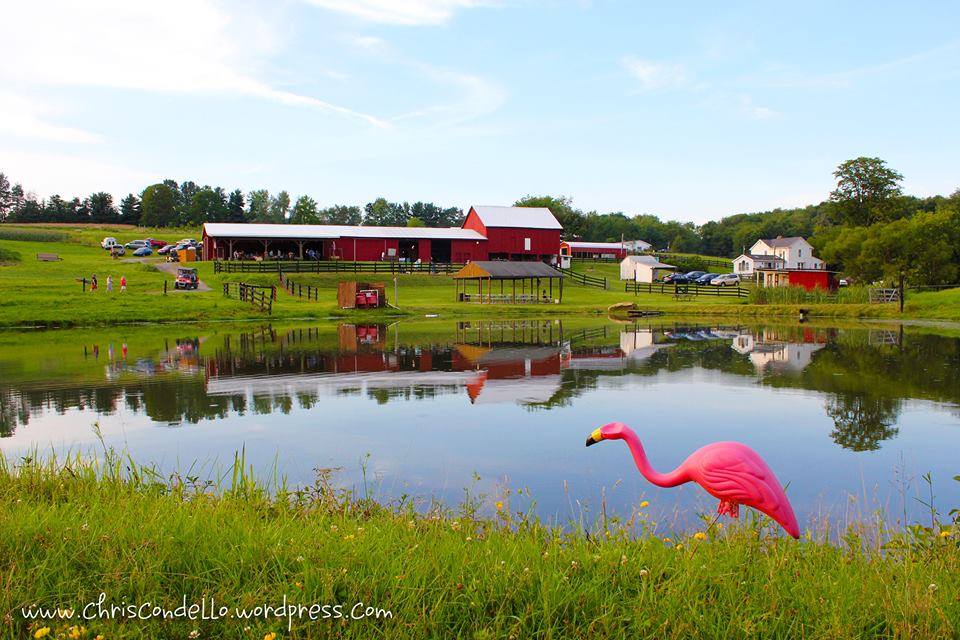 Barn At Soergel Hollow Craft Show And Amish Donut Sale