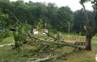 Storms Leave Residents Without Power And Trees Down