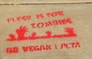 PETA Places Signs On Evans City Sidewalks For 