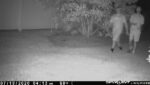 Police Looking For Suspects In Middlesex Twp. Attempted Break-Ins