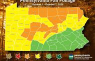Butler 'Approaching Best Color' For Fall Foliage