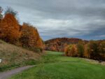Fall Foliage “Starting To Change Color” In Western PA