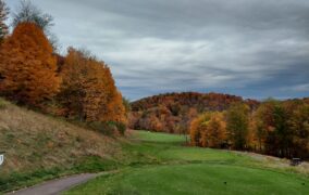 Fall Foliage Approaching Peak Conditions