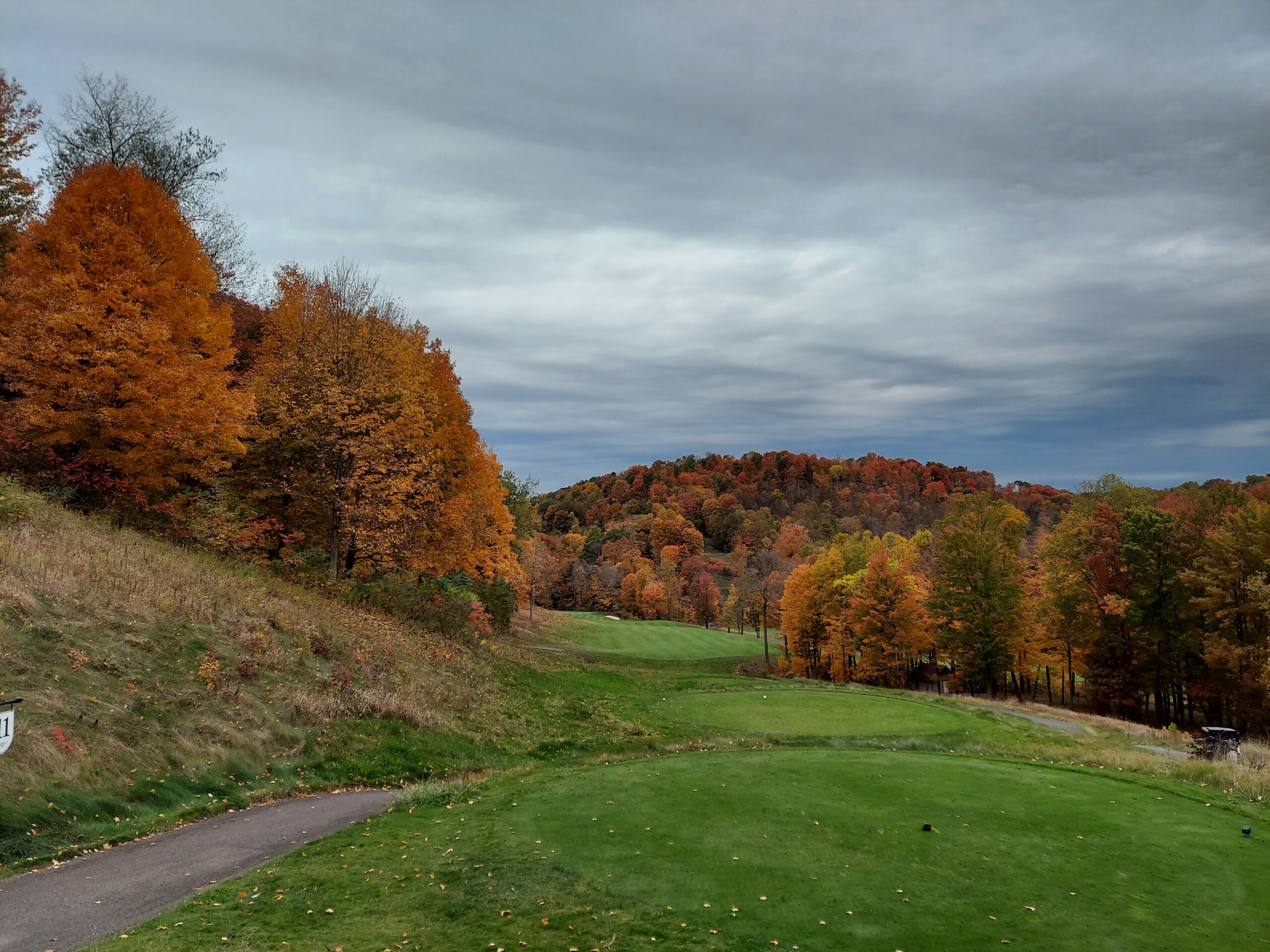 DCNR To Update Fall Foliage Reports