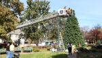 Slippery Rock Installs Downtown Christmas Tree