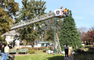 Slippery Rock Installs Downtown Christmas Tree