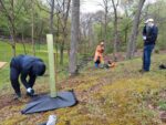 Ritts Park Cleanup Set For Saturday