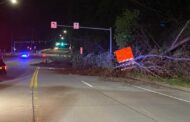 PennDOT Crews Clean Up Landslide On Rt. 356 In Freeport