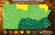 Fall Foliage In Early Stages