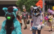 Anthrocon Cancels Event For 2nd Straight Year