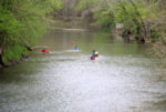 Oil Spills Into Connoquenessing Creek; No Canoeing
