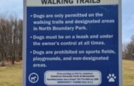 Dogs Can Now Walk Paved Loop At North Boundary Park