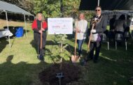 Trees Dedicated To Mark Upcoming 250th Celebration