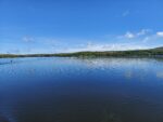 Moraine State Park Holding Wetlands and Wildlife Paddle