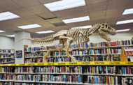 Mars Public Library Holding Naming Contest For New Dinosaur