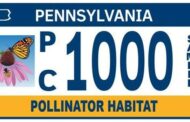 PennDOT Introduces New Pollinator Plate