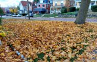 City Of Butler Reopening Leaf Dump