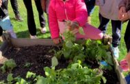Rowan Elementary Receives Environmental Award