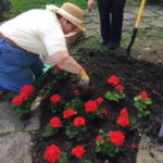 Butler City Planning For Pollinator Gardens