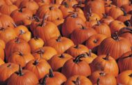 Evans City Celebrating Pumpkin Fest