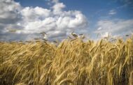 Two Butler County Farms Preserved