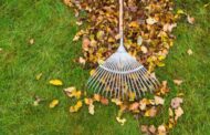 Butler Township Leaf Collection Begins This Week