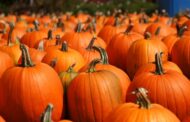 National Fire Protection Agency Warns Of Safety on Halloween