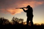 Wild Pheasant Hunting Could Expand