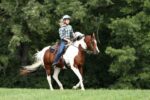 Elliot Acres To Showcase Horse Riding Therapy