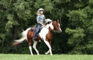 Elliot Acres To Showcase Horse Riding Therapy