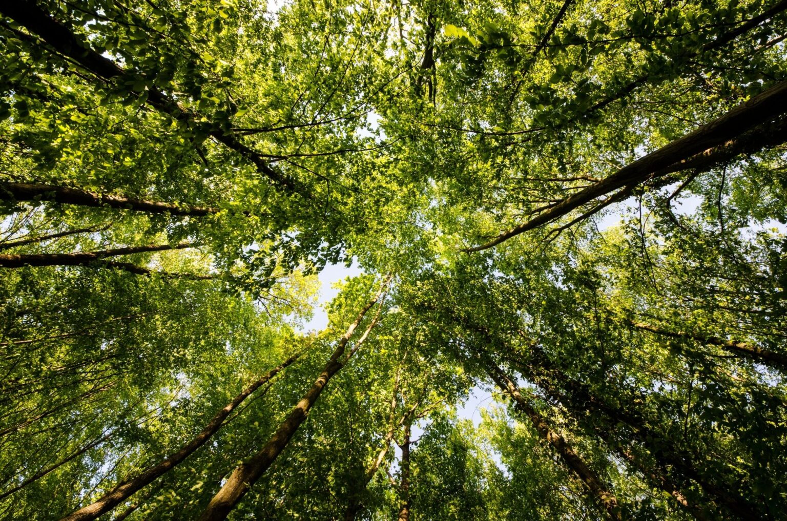 State Game Officials Asking For Help With Rabbit Disease WISR 680 AM