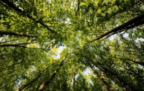 PA Department of Environmental Protection Grants
