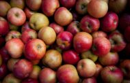 Local Farm Receives Recognition For Cider