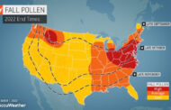 AccuWeather Predicting Fall Allergy Season Will Be Intense